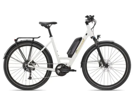 Diamant Zing+ Wave 2022 elektrisches Fahrrad